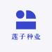 莲子种业