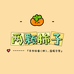 两颗柿子手作
