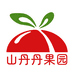 叶大姐的山丹丹果园