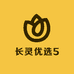 长灵优选5