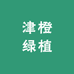 津橙绿植