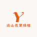 远山花黛绿植