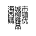 海城西柳婧雅女装小铺
