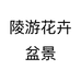 陵游花卉盆景