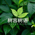 树言树语内衣
