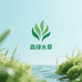 森绿水草种植基地