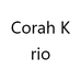Corah Krion定制女包