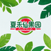 夏禾仙果园