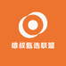 雄叔甄选联盟