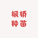 枫桥种苗
