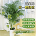 植捷绿植供应链