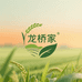 龙桥家
