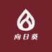 向日葵假睫毛精选