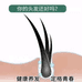 靓旺养发