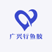 广兴行鱼胶