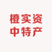 橙实资中特产店
