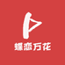 蝶恋万花
