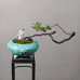 植得园艺场