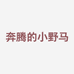 皮特调香师香水香氛