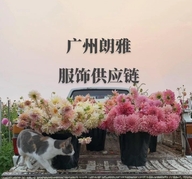 广州朗雅服饰供应链