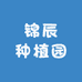 锦辰种植园