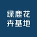 绿鹿花卉基地
