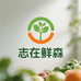 志在鲜森