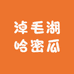 淖毛湖哈密瓜特产铺