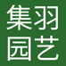集羽专营店