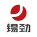 狮子电动车专营店