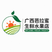 广西芭拉蜜生鲜水果店