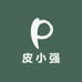皮小强