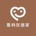 数码狂想家