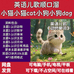 每日英语动画