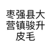 枣强县大营镇骏升皮毛厂的小店个体店