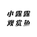 牙牙妹蝴蝶鲤