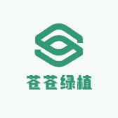 苍苍绿植