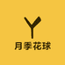 月季花球小韩店