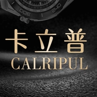 卡立普长沙易联兴祥科技有限公司专卖店