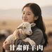 甘肃鲜羊肉静静