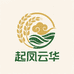 起凤云华食品店