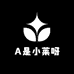 A是小莱呀买手店
