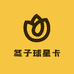 冬子球星卡