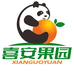 喜安精选