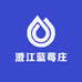 澄江蓝莓庄