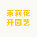 茉莉花开园艺