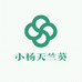 小杨天竺葵