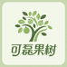 果亚多可磊果树苗木专卖店