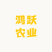 鸿跃农业