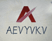 AEVYVKV数码旗舰店